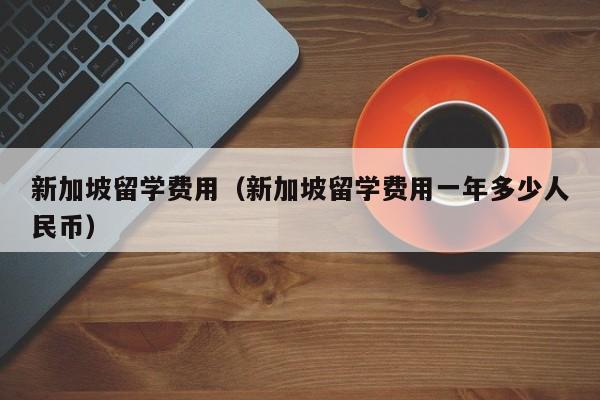 新加坡留学费用（新加坡留学费用一年多少人民币）