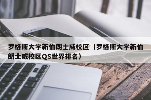 罗格斯大学新伯朗士威校区（罗格斯大学新伯朗士威校区QS世界排名）