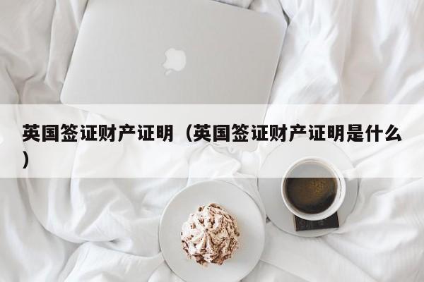 英国签证财产证明（英国签证财产证明是什么）