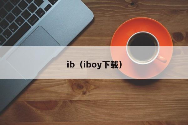ib（iboy下载）