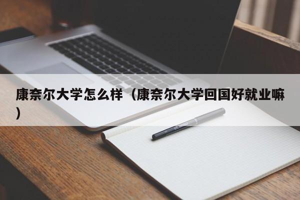 康奈尔大学怎么样（康奈尔大学回国好就业嘛）