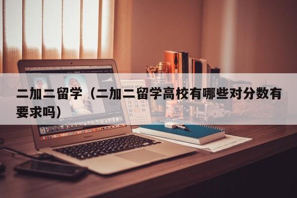 二加二留学（二加二留学高校有哪些对分数有要求吗）