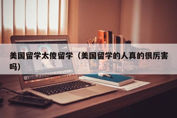 美国留学太傻留学（美国留学的人真的很厉害吗）