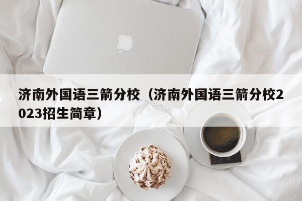济南外国语三箭分校（济南外国语三箭分校2023招生简章）