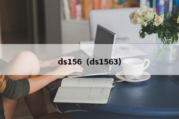 ds156（ds1563）