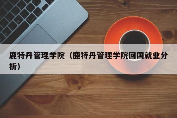 鹿特丹管理学院（鹿特丹管理学院回国就业分析）