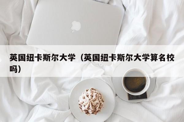 英国纽卡斯尔大学（英国纽卡斯尔大学算名校吗）