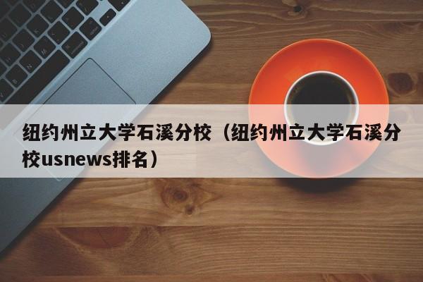 纽约州立大学石溪分校（纽约州立大学石溪分校usnews排名）
