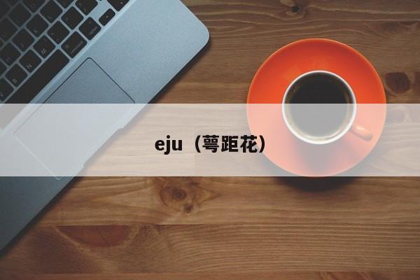 eju（萼距花）
