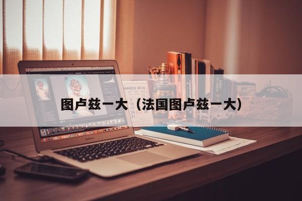 图卢兹一大（法国图卢兹一大）