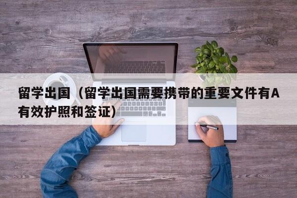 留学出国（留学出国需要携带的重要文件有A有效护照和签证）