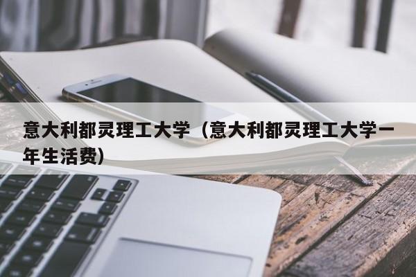 意大利都灵理工大学（意大利都灵理工大学一年生活费）