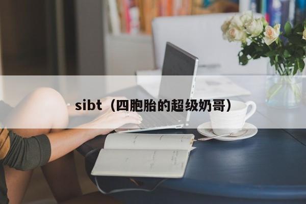 sibt（四胞胎的超级奶哥）