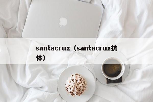 santacruz（santacruz抗体）