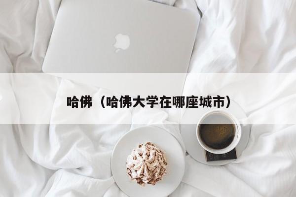 哈佛（哈佛大学在哪座城市）