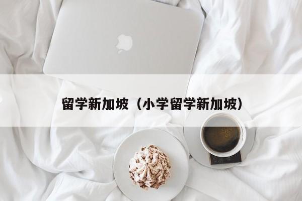 留学新加坡（小学留学新加坡）