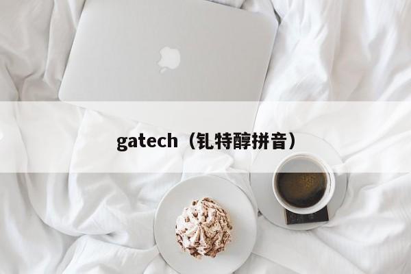 gatech（钆特醇拼音）