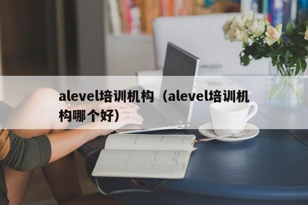 alevel培训机构（alevel培训机构哪个好）