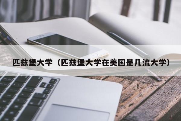 匹兹堡大学（匹兹堡大学在美国是几流大学）