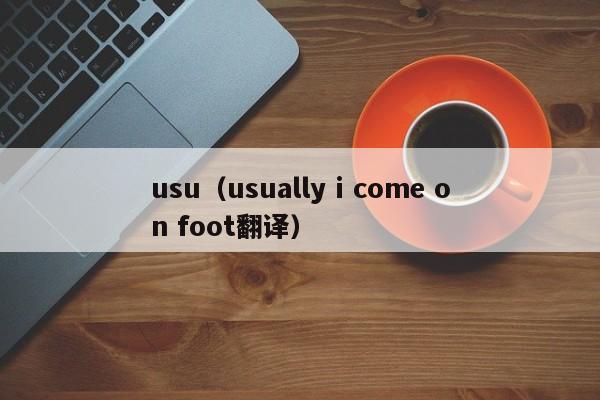 usu（usually i come on foot翻译）