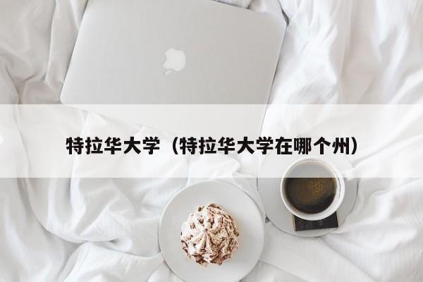 特拉华大学（特拉华大学在哪个州）