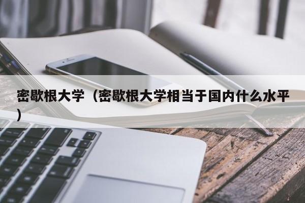 密歇根大学（密歇根大学相当于国内什么水平）