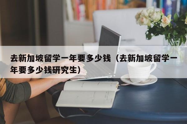 去新加坡留学一年要多少钱（去新加坡留学一年要多少钱研究生）