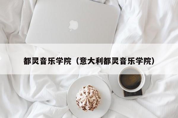 都灵音乐学院（意大利都灵音乐学院）