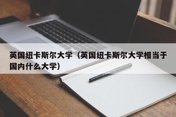 英国纽卡斯尔大学（英国纽卡斯尔大学相当于国内什么大学）