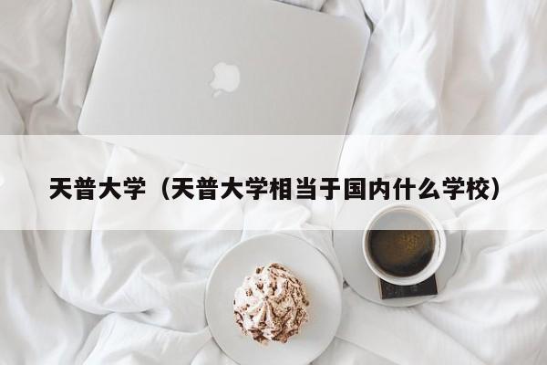 天普大学（天普大学相当于国内什么学校）