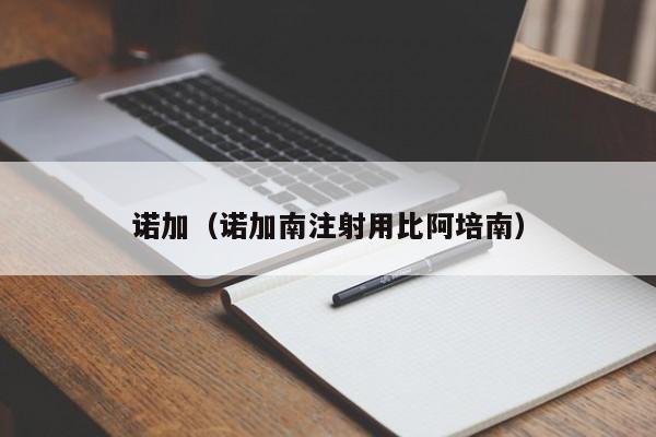 诺加（诺加南注射用比阿培南）