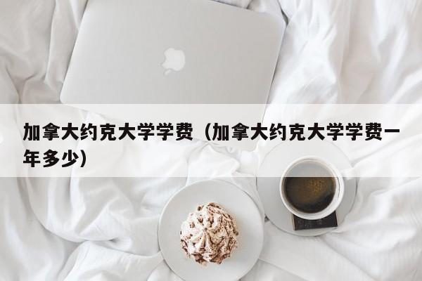 加拿大约克大学学费（加拿大约克大学学费一年多少）