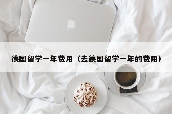 德国留学一年费用（去德国留学一年的费用）