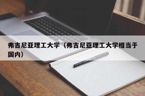 弗吉尼亚理工大学（弗吉尼亚理工大学相当于国内）