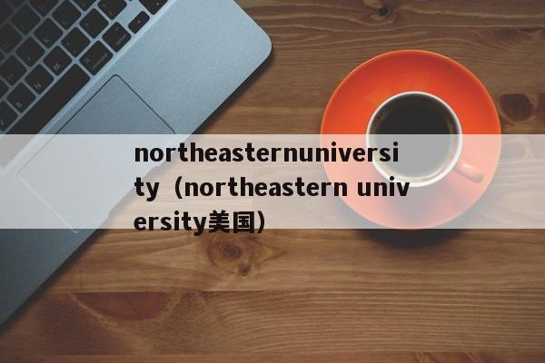 northeasternuniversity（northeastern university美国）