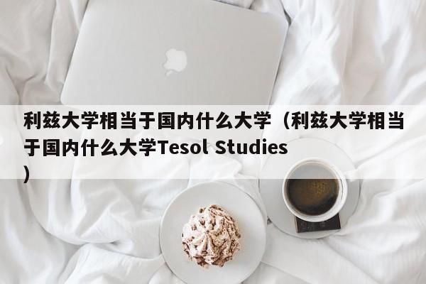 利兹大学相当于国内什么大学（利兹大学相当于国内什么大学Tesol Studies）