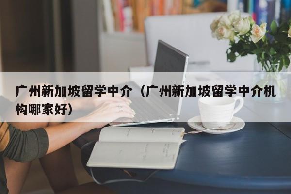 广州新加坡留学中介（广州新加坡留学中介机构哪家好）