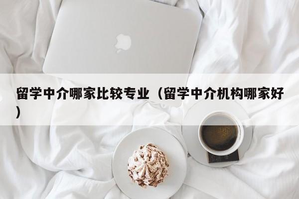 留学中介哪家比较专业（留学中介机构哪家好）