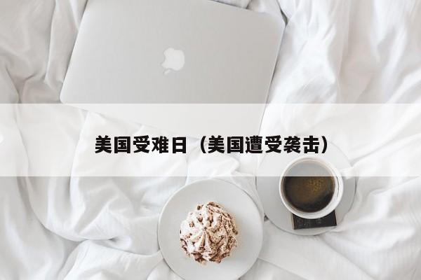 美国受难日（美国遭受袭击）