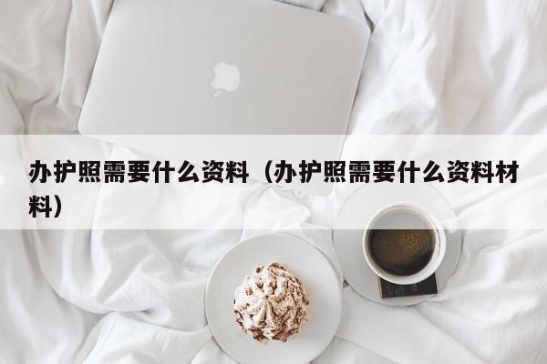 办护照需要什么资料（办护照需要什么资料材料）