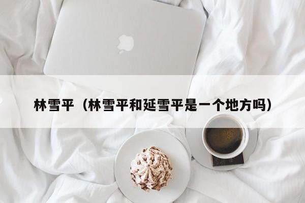 林雪平（林雪平和延雪平是一个地方吗）