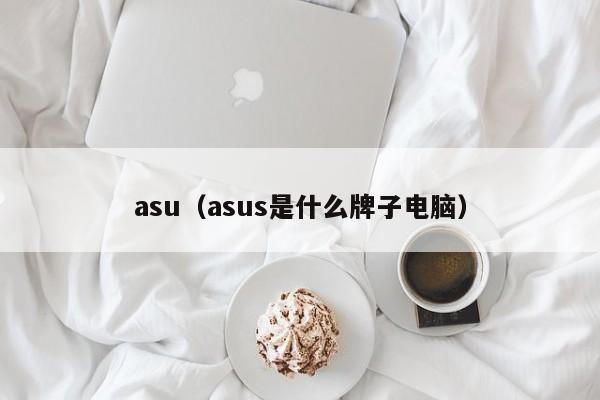 asu（asus是什么牌子电脑）