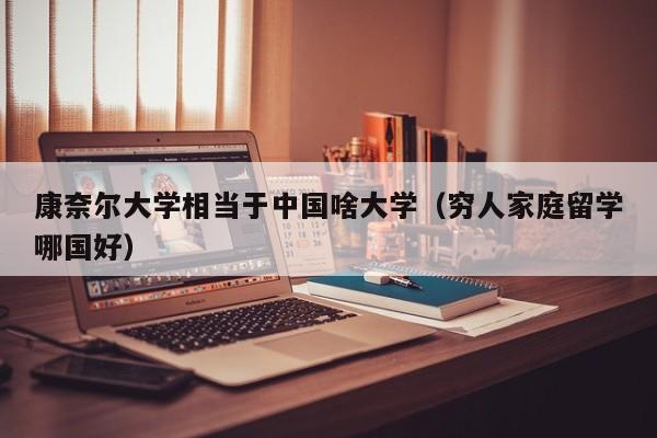 康奈尔大学相当于中国啥大学（穷人家庭留学哪国好）