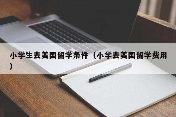 小学生去美国留学条件（小学去美国留学费用）