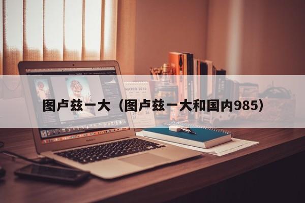 图卢兹一大（图卢兹一大和国内985）