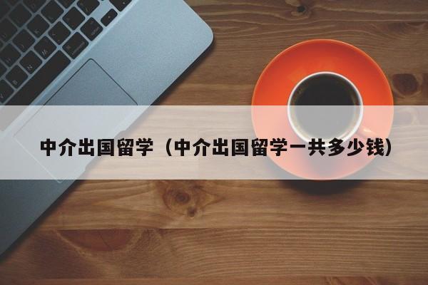 中介出国留学（中介出国留学一共多少钱）