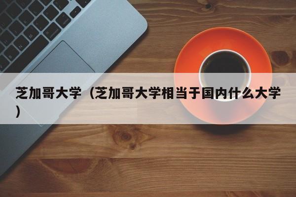 芝加哥大学（芝加哥大学相当于国内什么大学）