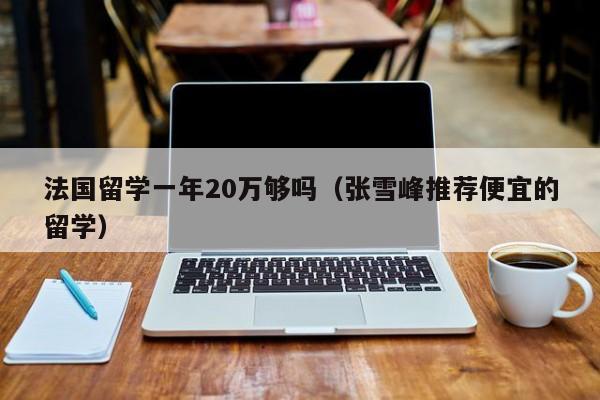 法国留学一年20万够吗（张雪峰推荐便宜的留学）