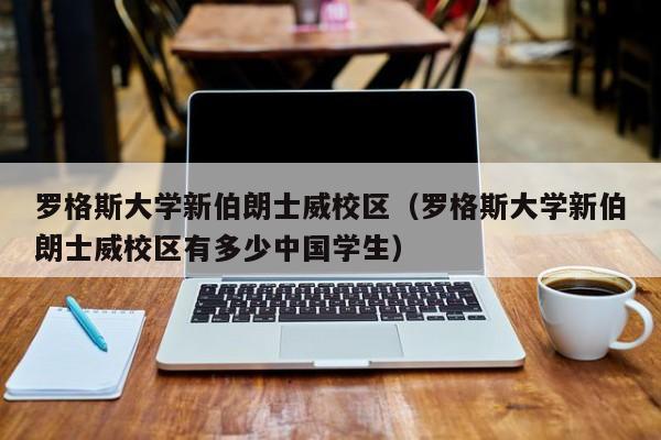 罗格斯大学新伯朗士威校区（罗格斯大学新伯朗士威校区有多少中国学生）
