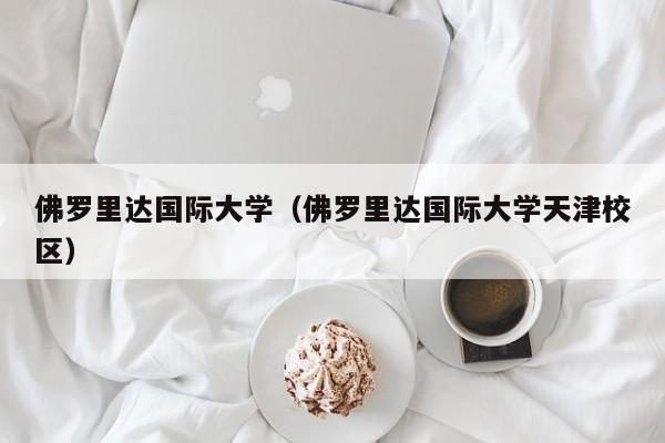佛罗里达国际大学（佛罗里达国际大学天津校区）